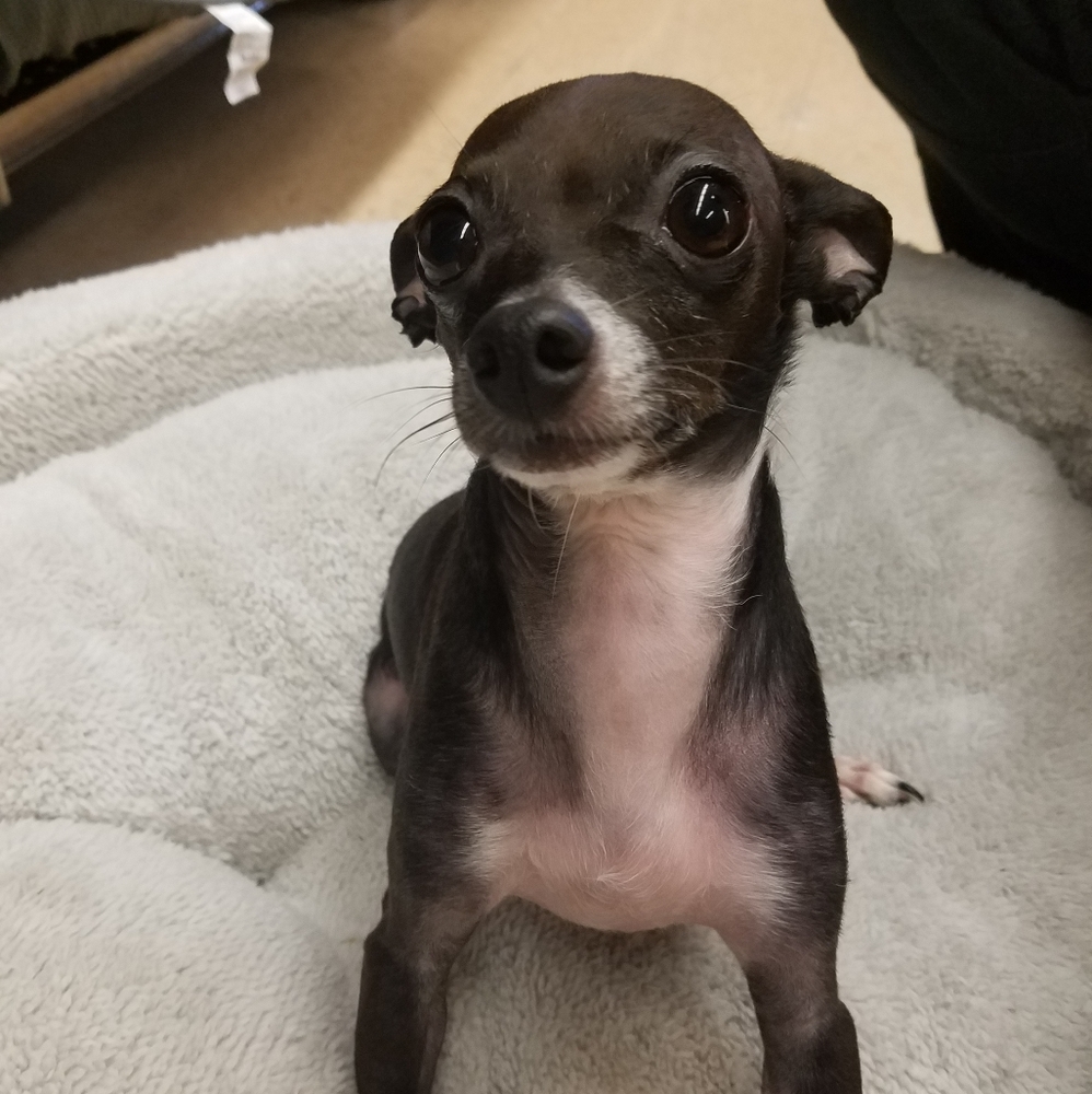 Meet me and team stinky.